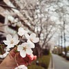 🌸漓醬圭君｜代購×穿搭×小日常✈️