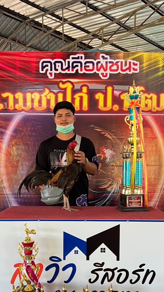 ไฮไลท์ ฟาร์ม(ชัยภูมิ)