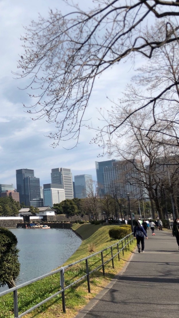 皇居 や スカイツリー 辺りを走ってる ランナーさんの集い。初心者〜上級者までどうぞ！