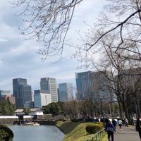 皇居 や スカイツリー 辺りを走ってる ランナーさんの集い。初心者〜上級者までどうぞ！