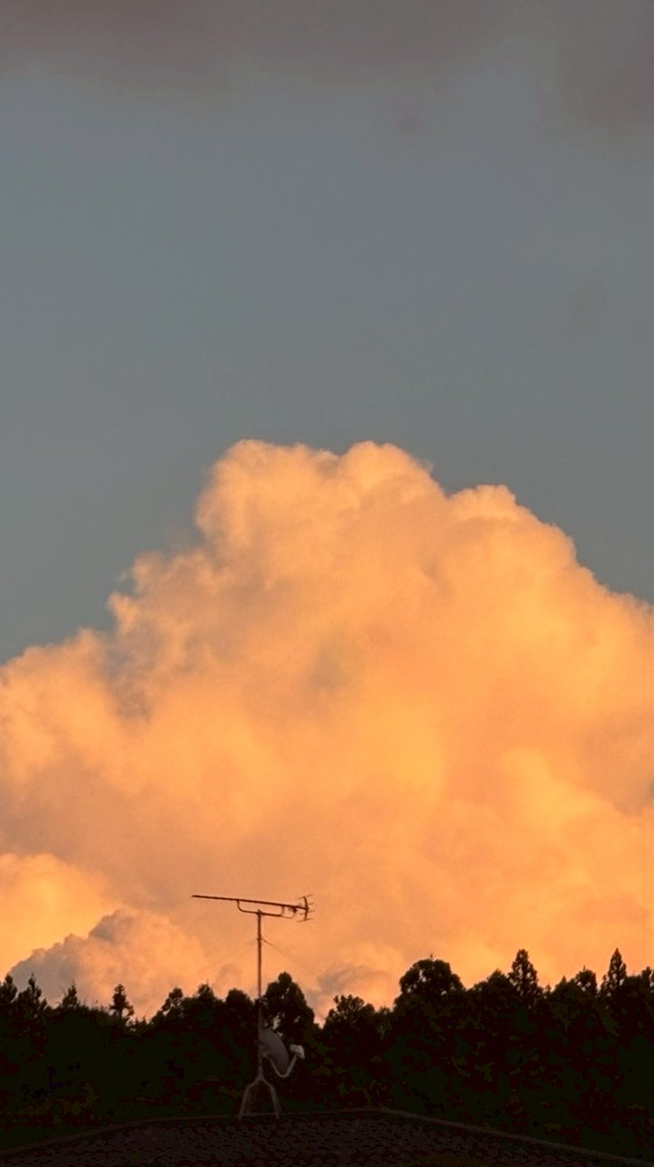 イラスト、オタク部屋アアアアア☆