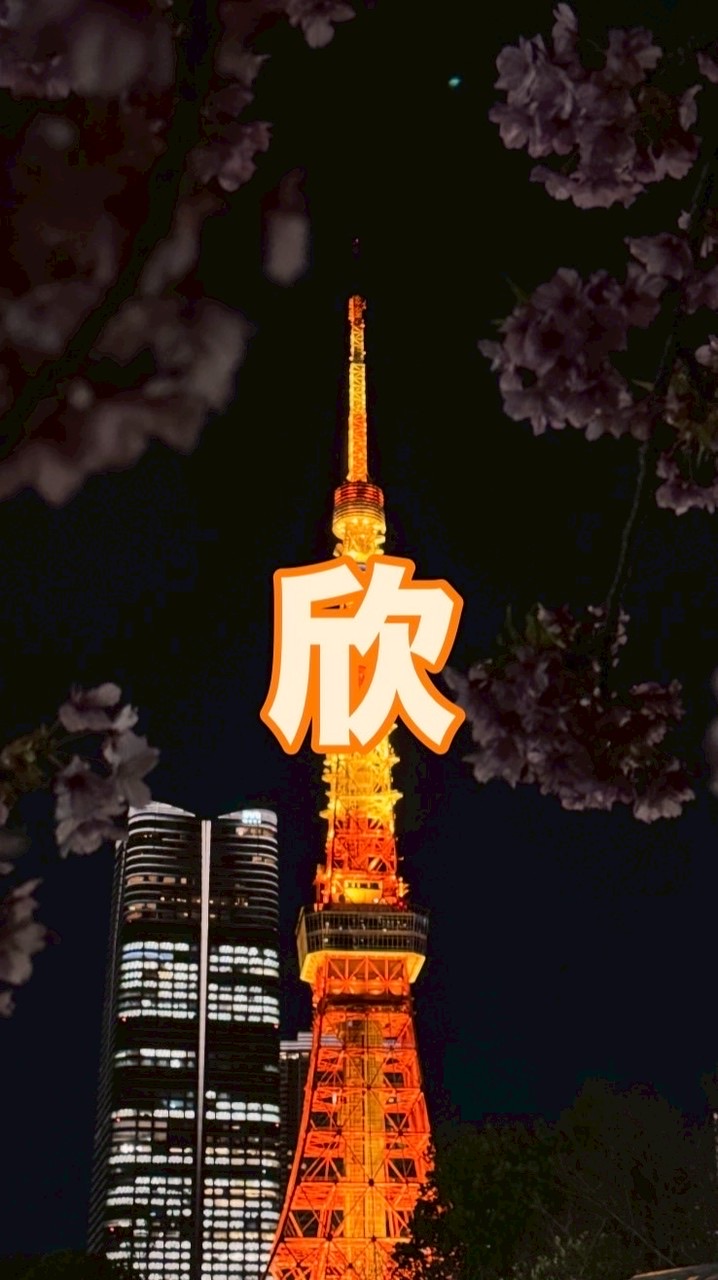 東京欣連線🗼｜雙週直送回台