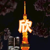 東京欣連線🗼｜雙週直送回台