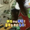 🇰🇷一起來學憨估狗🧀