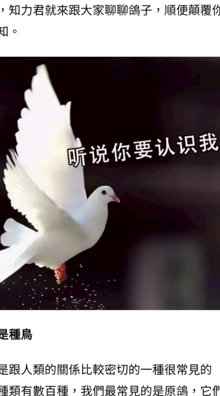 就是愛拍照，大家都去哪裡玩?吃喝玩樂來分享