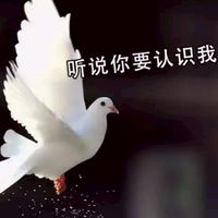 就是愛拍照，大家都去哪裡玩?吃喝玩樂來分享