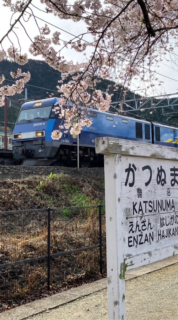 山梨県の路線情報共有〈中央本線•小海線•富士急行線•身延線•山交線〉