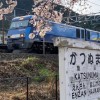 山梨県の路線情報共有〈中央本線•小海線•富士急行線•身延線•山交線〉