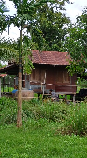 บ้านนอก Up Country