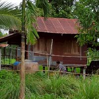 บ้านนอก Up Country