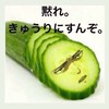 バウンティ楽しもう！