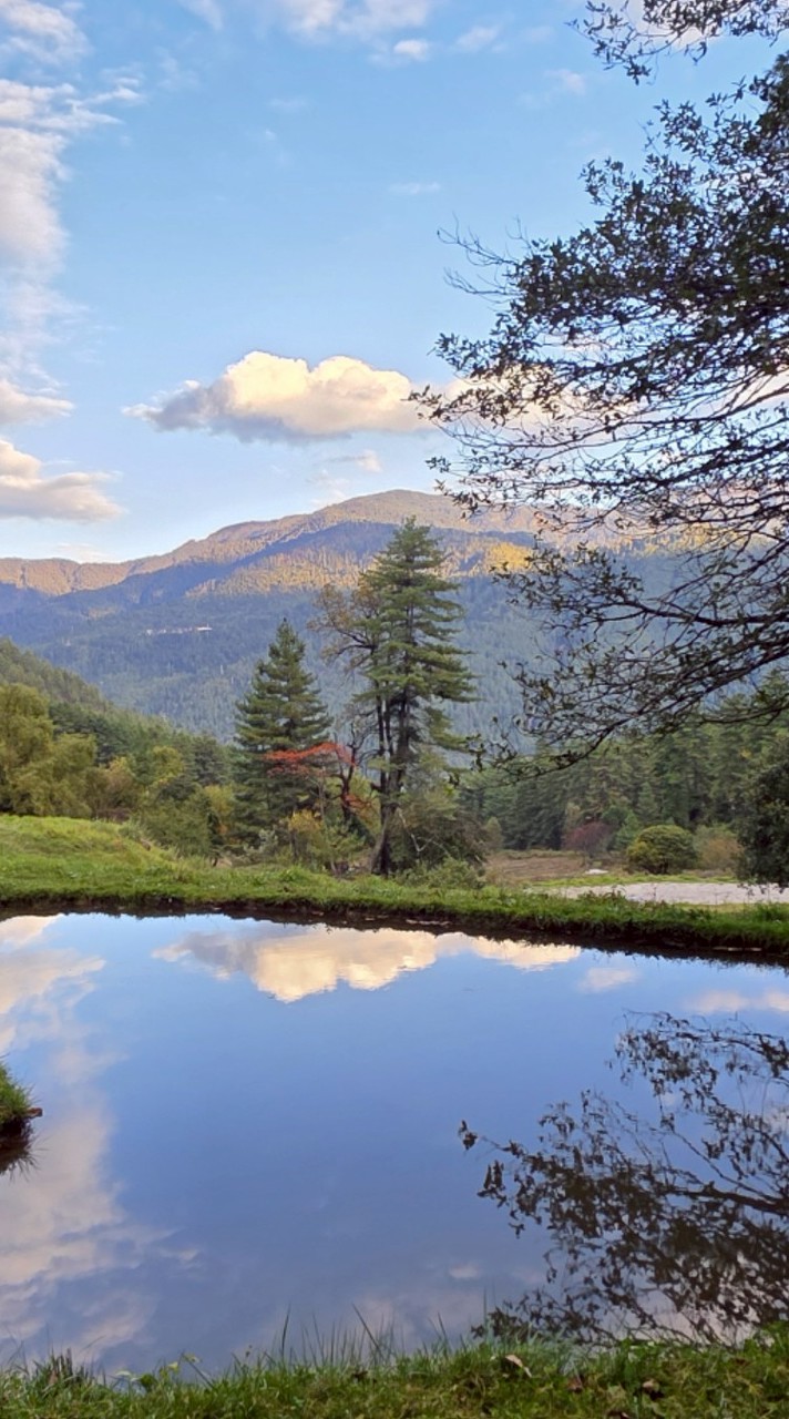 帝君心健康研究院