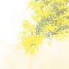 【シニア女性限定】🌺心守るお部屋