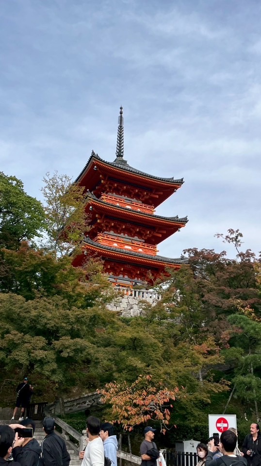D&A日本代購🇯🇵
