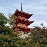 D&A日本代購🇯🇵