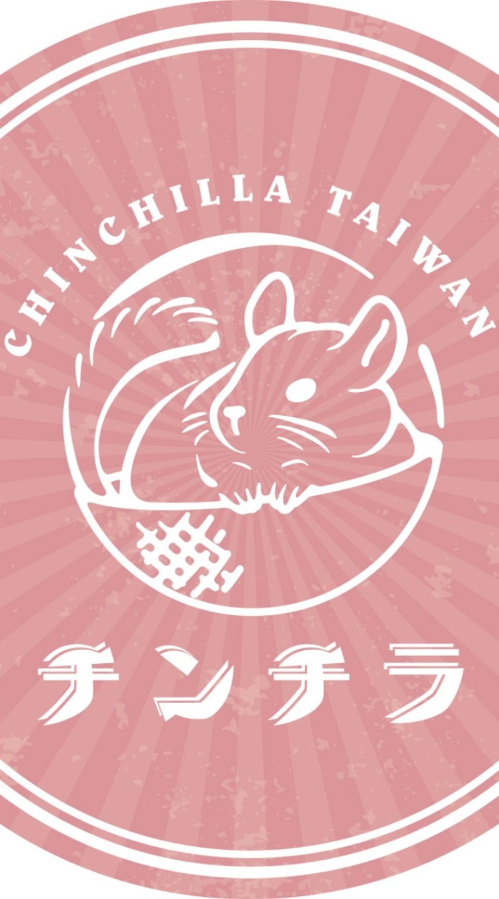 龍貓安親班Chinchilla Taiwan