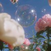 愛情ってゆーか、ただ君が欲しい⟡HQ夢ハント