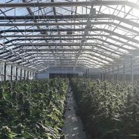 HEMPSEED