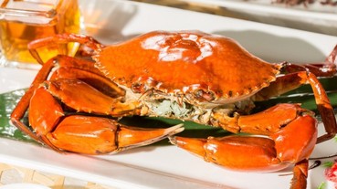沒吃「藍瘦」，吃了「香菇」！特搜北中南６間飯店秋蟹料理大賞