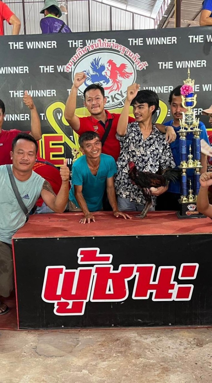บงใต้ทีม  สายเลือด ป.วุฒิฟาร์ม100 พัฒนา