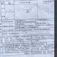桃園市檳榔工會孔雀燈處理事誼