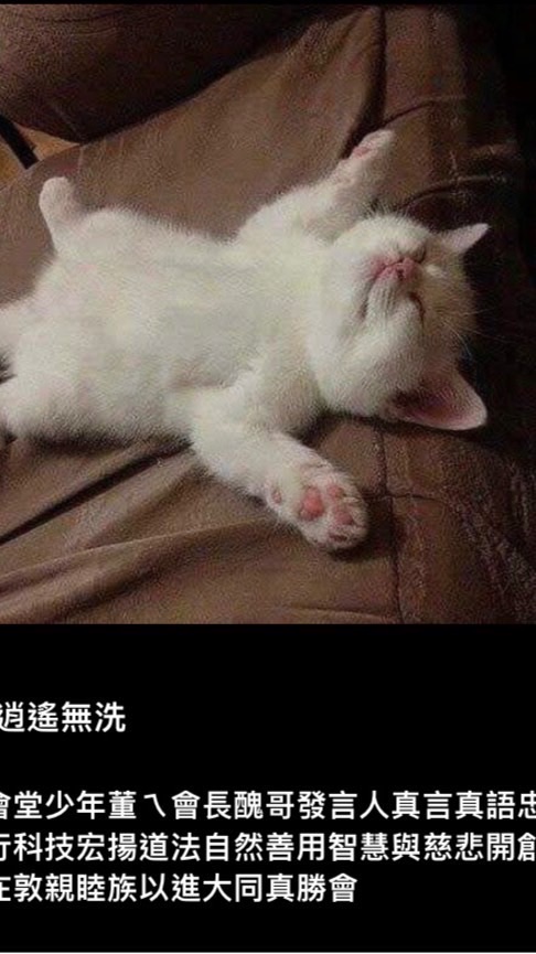 金指妙法真勝會