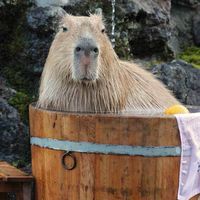 無職だけど稼ぎたい