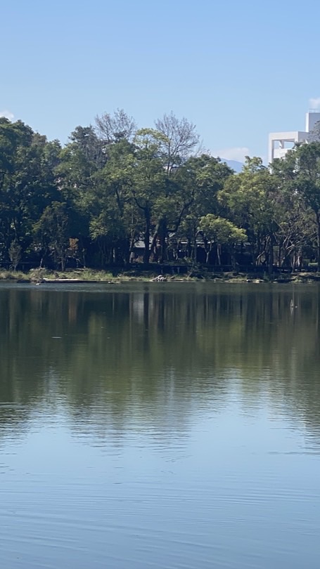 聖湖歌唱班