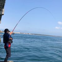 謝老爹澎湖海釣討論區（船釣、磯釣、擬餌）