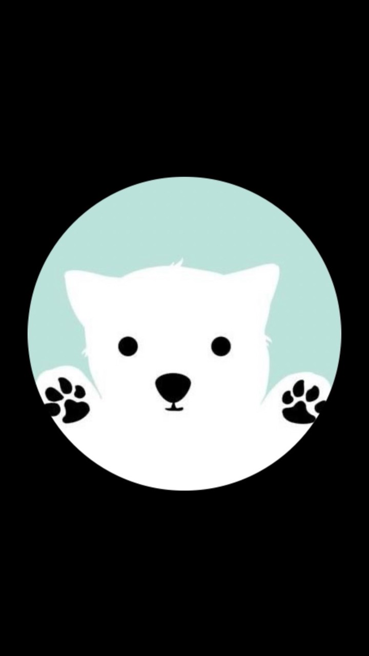 BA201 Sect.8201_2/68