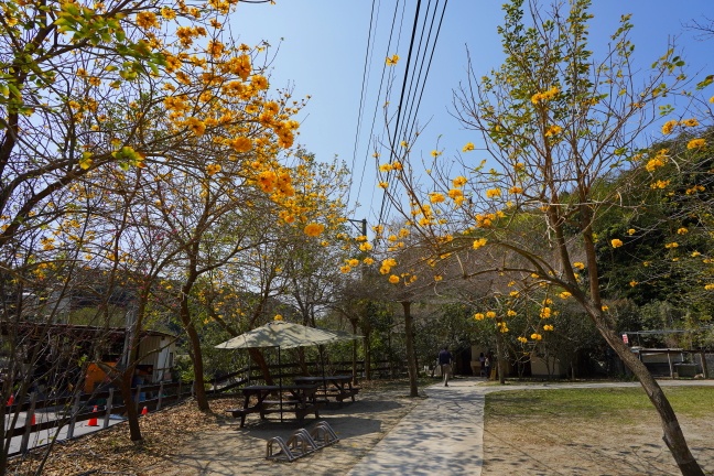 八卦山脈牧場,大山休閒牧場,大山牧場,彰化最佳親子景點,彰化牧場