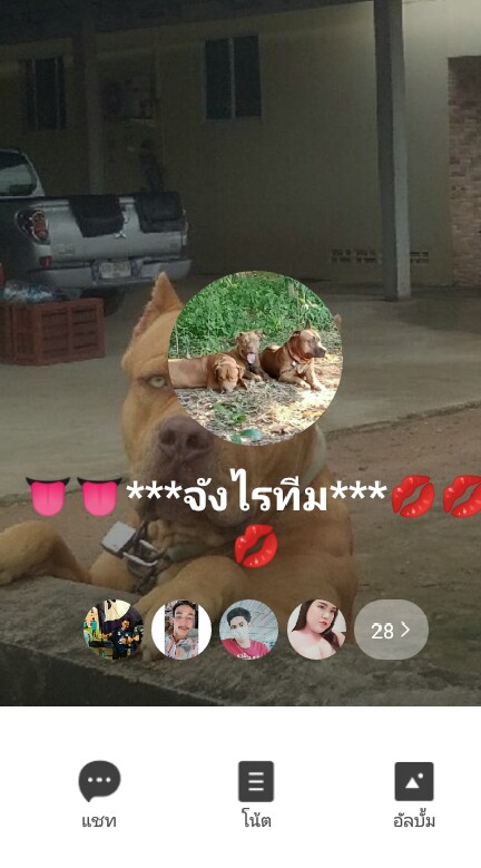 มาดูอะไรหนุกๆกัน