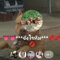 มาดูอะไรหนุกๆกัน