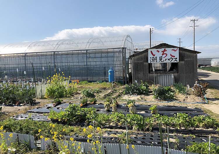 口コミの詳細 フルーツガーデン高松 中田町 碧南駅 いちご狩り By Line Conomi