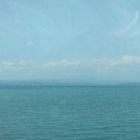 魚釣り＆魚好き同好会(学生限定)