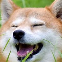 ゲーム雑談