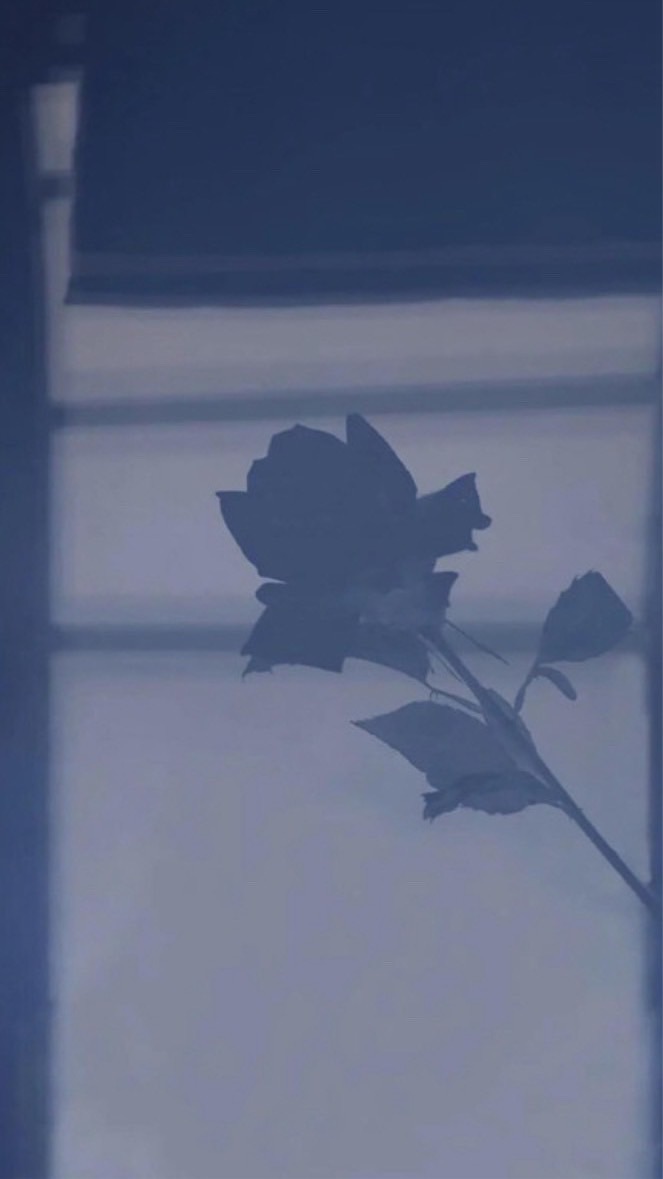 Kpop天地【免宣拐】🤩可要圖/可聊天