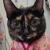 娜栗買｜Meoof&Igo品項團購
