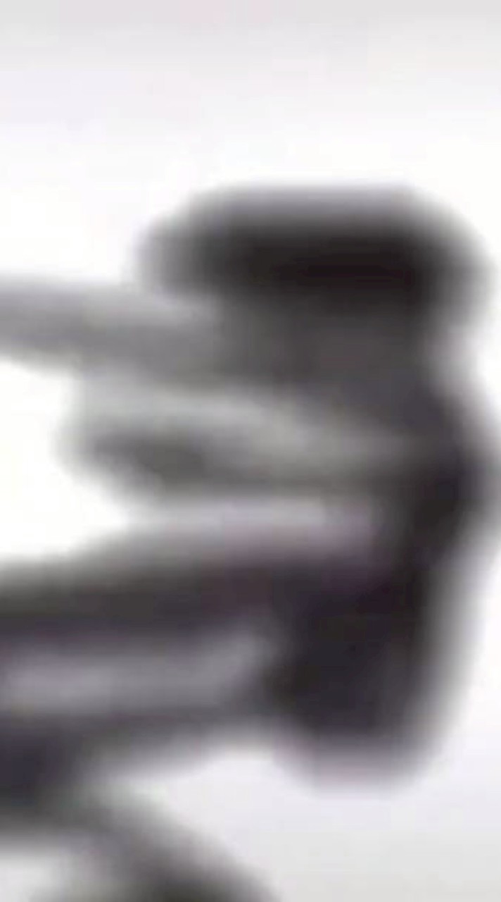 日常發瘋群