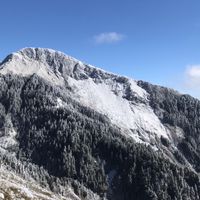 股龍集團