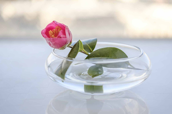 花のプロが100円ショップの花瓶を厳選 おしゃれに花を飾ります