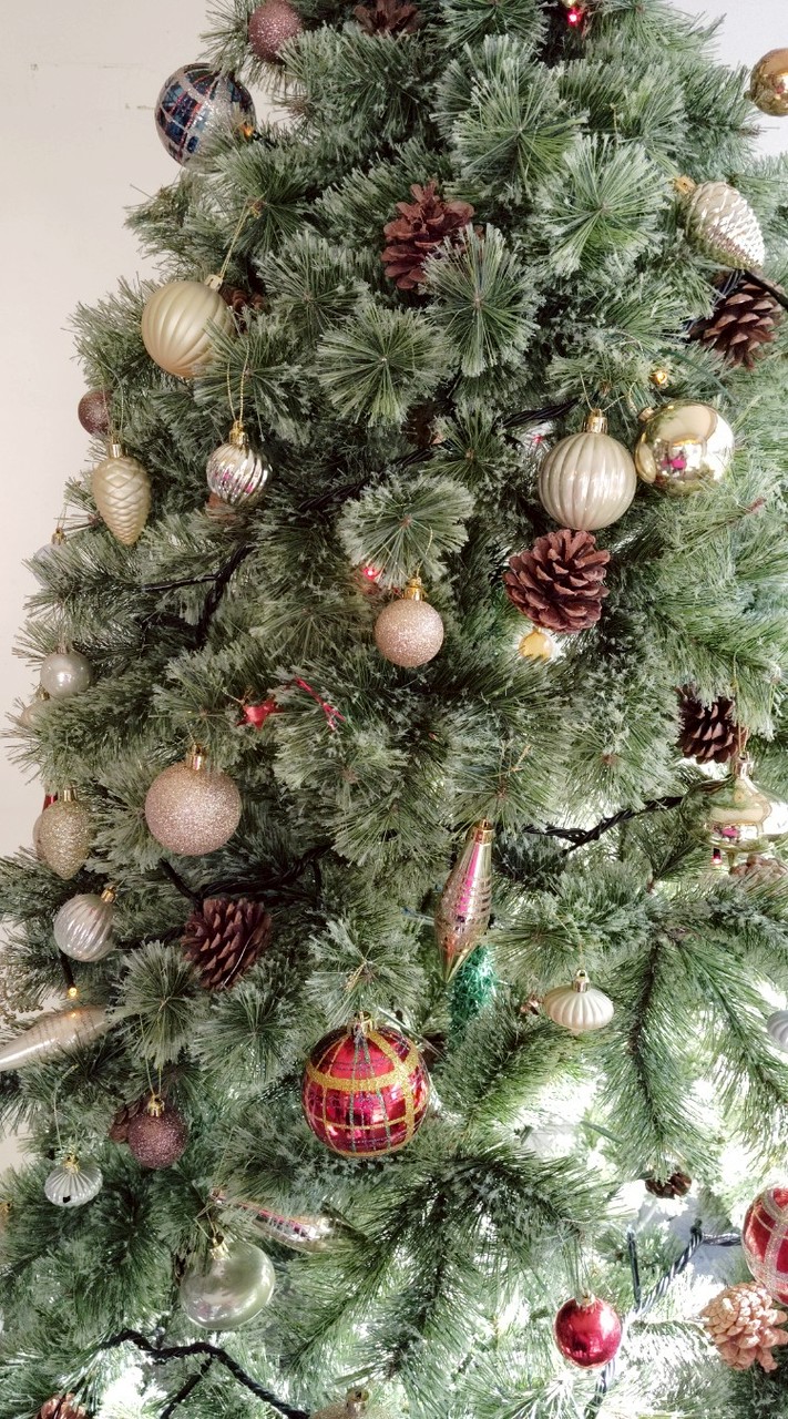 音楽雑談部屋、💬ボイス、動物について語ろう部屋、音楽🎷あり。景色部屋🌠宣伝係募集🌅