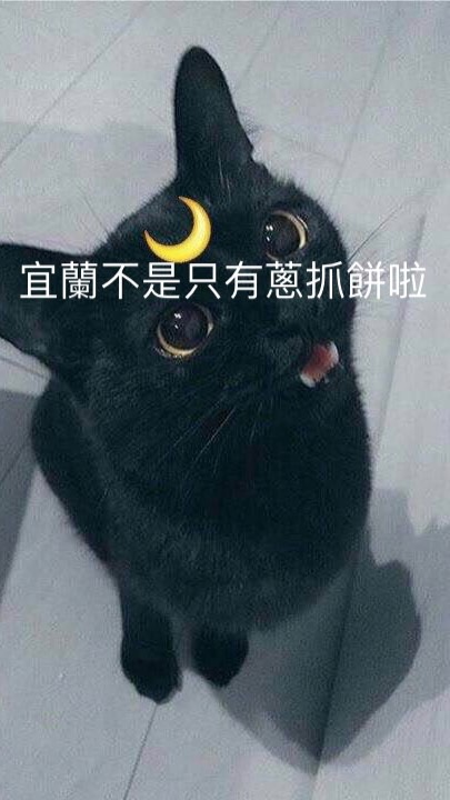 宜蘭人才不會逛幾米（社團缺人中ᶘ ᵒᴥᵒᶅ前10位進來可以看到社長跳舞）