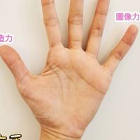 黃語柔皮紋分析師