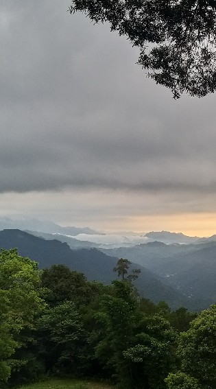 三峽棧快樂農埸