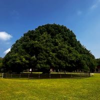 成大六日不回家總群