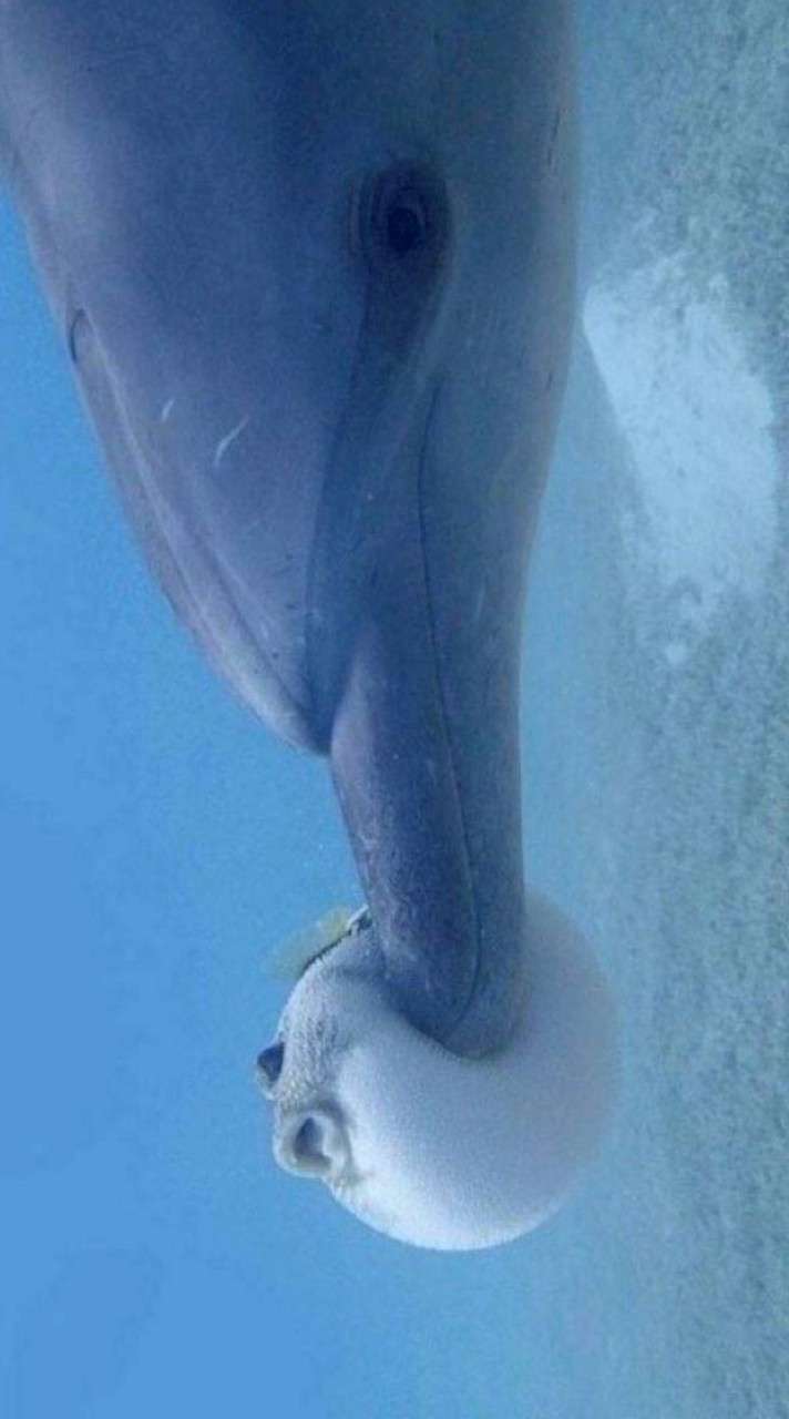 隣欲しい❓❓ ハントしまくれ ⁉️⁉️ 全緩なり ❣️❣️ 😆