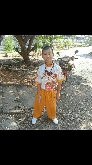 เสือไหหลำ