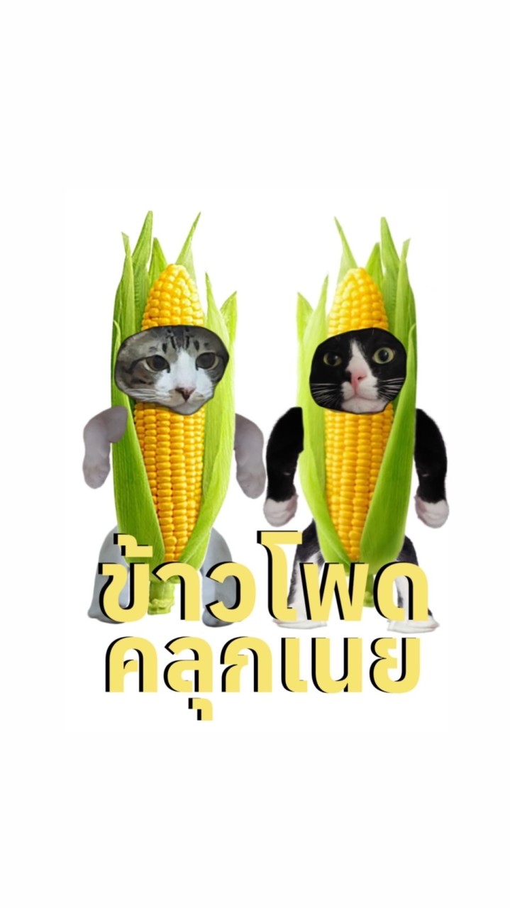 ข้าวโพดอบเนย🌽🧈