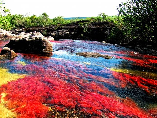 Fenomena Alam Ini Punya Warna Serupa Pelangi, Iya Pelangi di Matamu